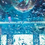 pexels edotommo99 3249760